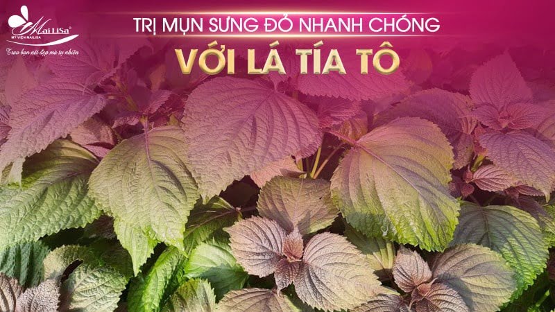 cách trị mụn sưng đỏ