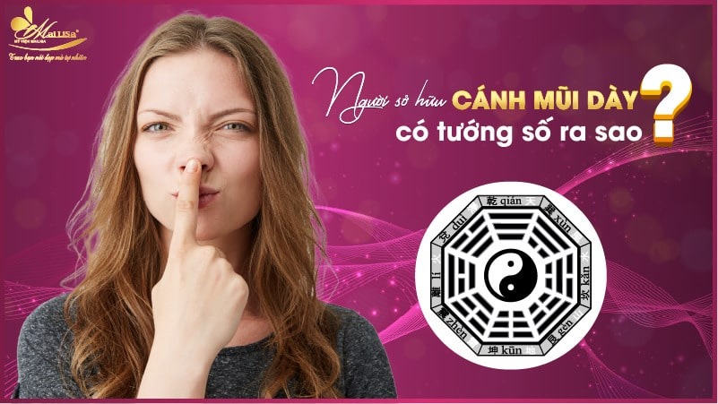 cánh mũi dày