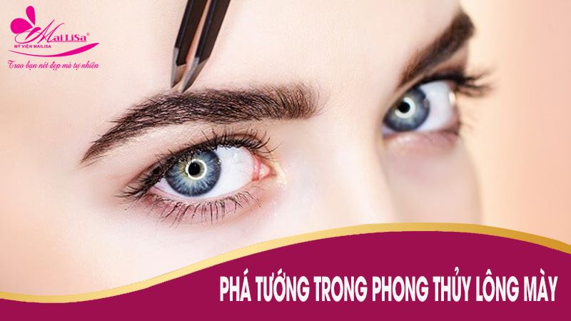 pha-tuong-long-may