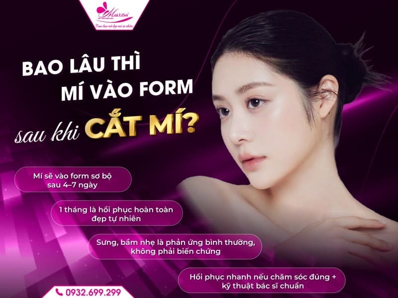 bao-lau-thi-mi-vao-form-sau-khi-cat-mi