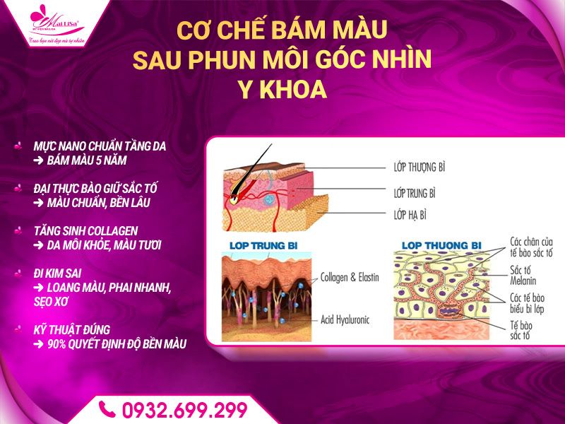 co-che-bam-mau-sau-phun-moi