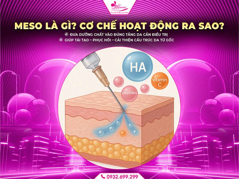 meso-la-gi-co-che-hoat-dong-ra-sao