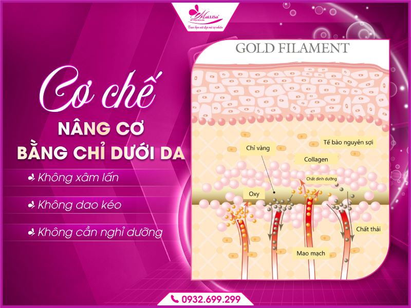 co-che-nang-co-bang-chi-duoi-da