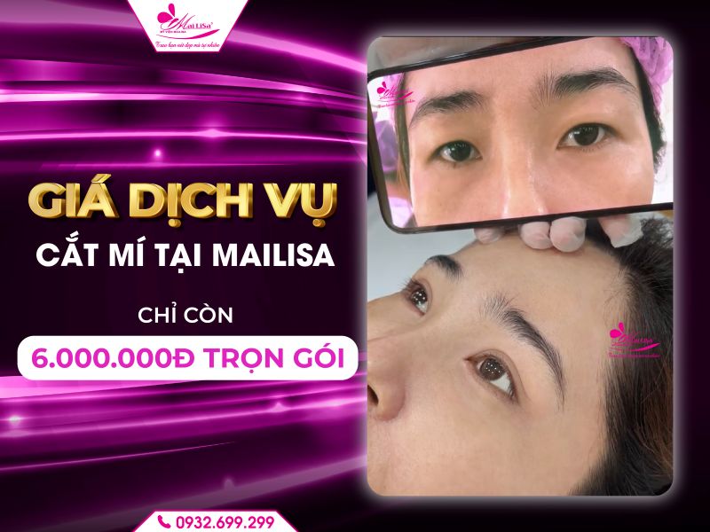 gia-dich-vu-cat-mi-tai-mailisa